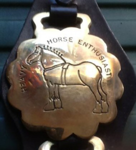 10 - KB Horse Brasses